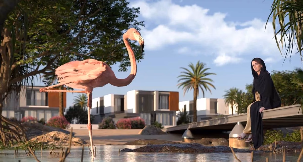 Saadiyat Lagoons, image 2