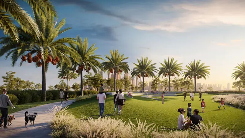 Mangrove at Creek Beach – render